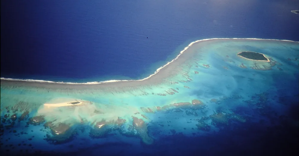 ʻAtā