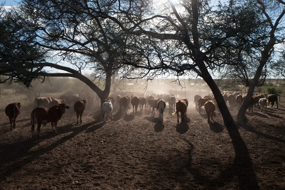 Gobabis, Namibia