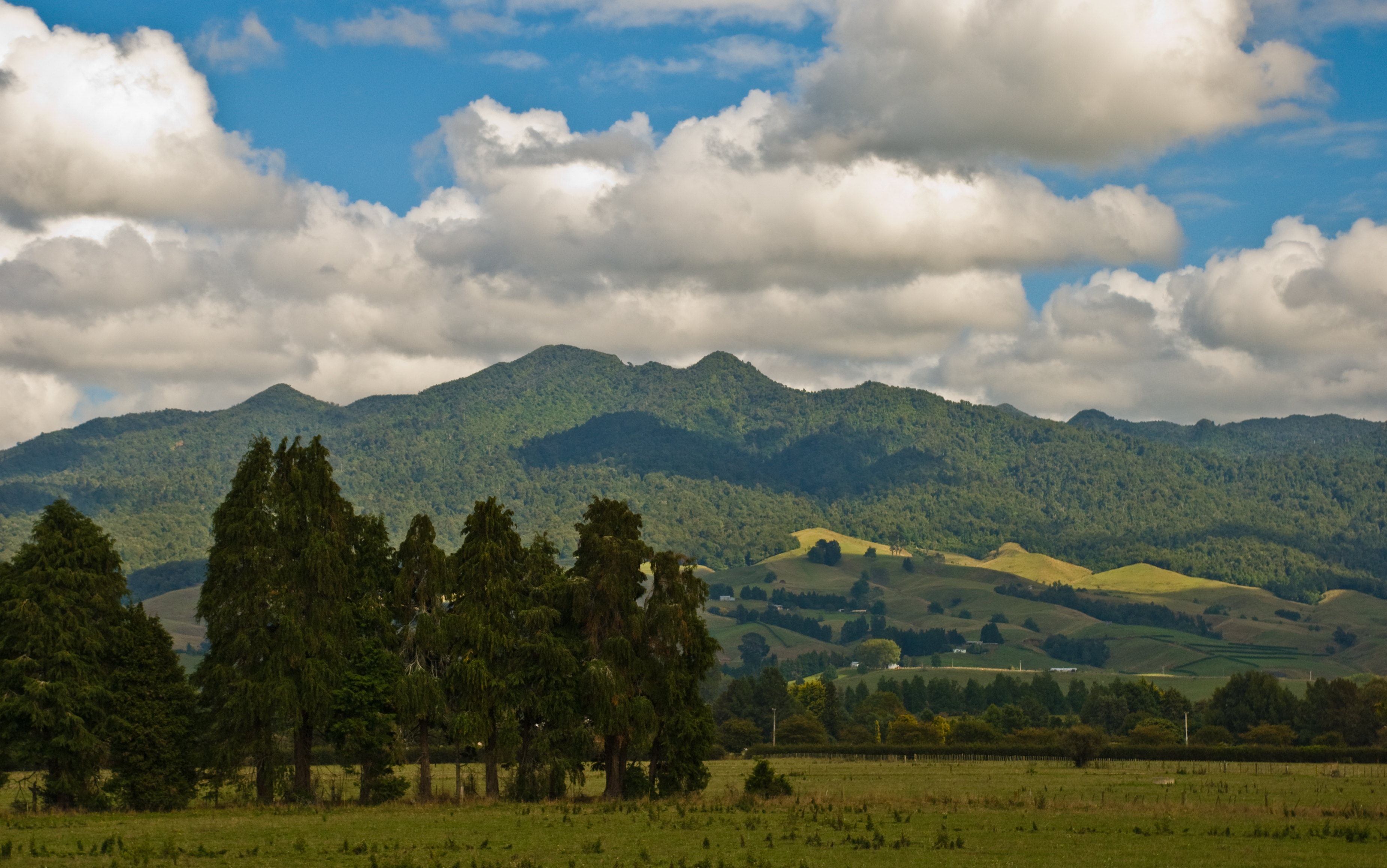 Pirongia Mountain