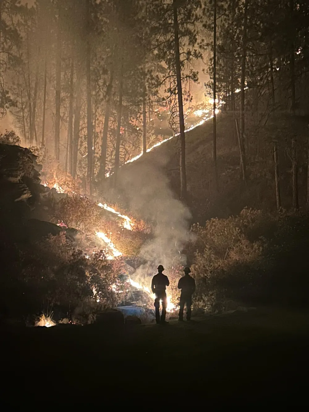 Massive Wildfires Ravage Washington State's Spokane Region, Destroying Millions of Acres of Land
