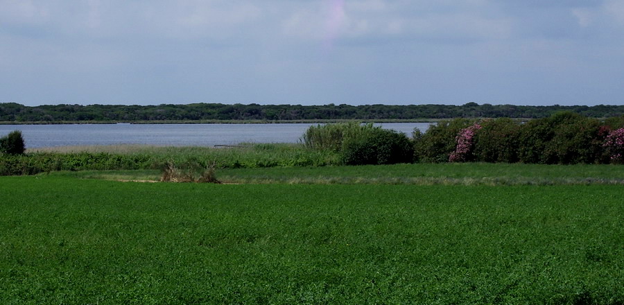 Lago di Burano