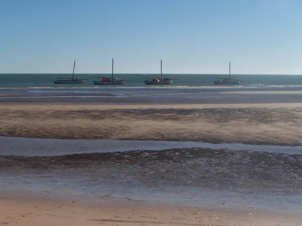 Banc d'Arguin National Park, Mauritania