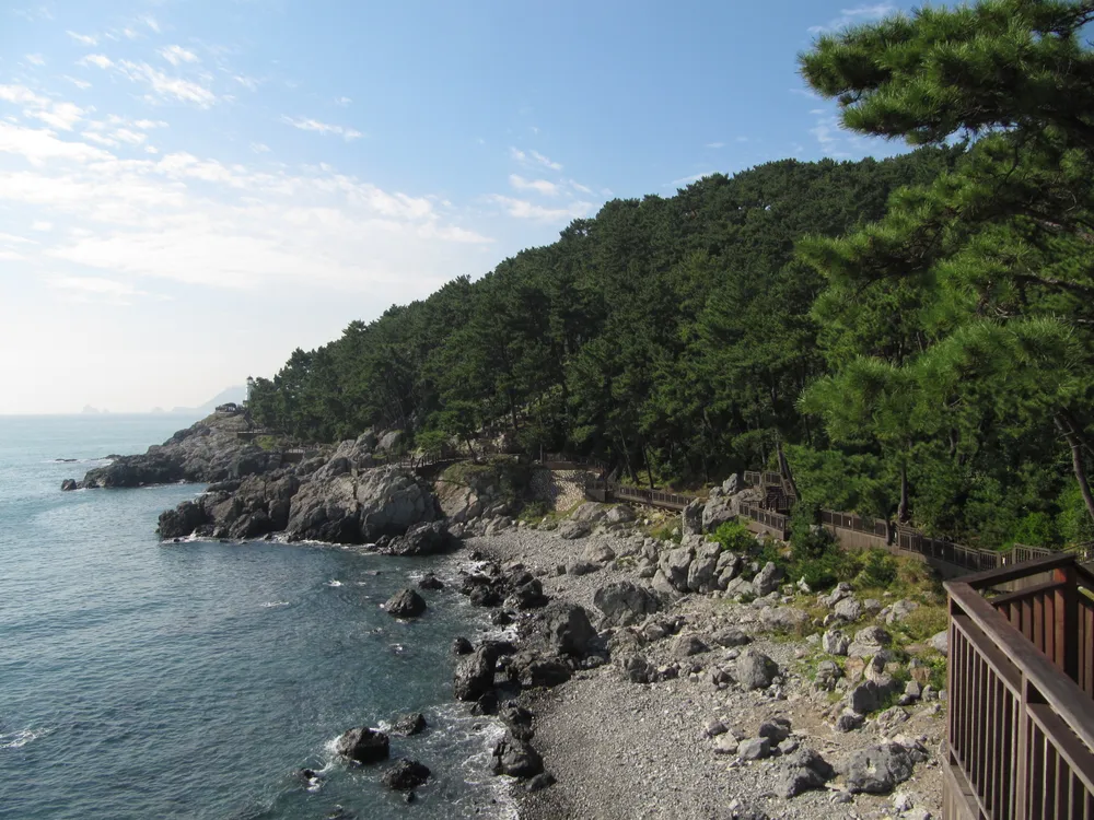 Dongbaek Island