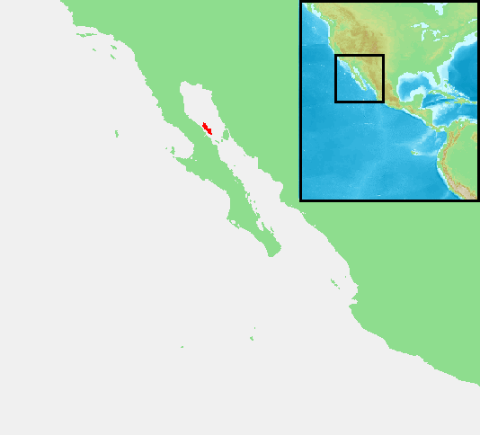 Isla Ángel de la Guarda