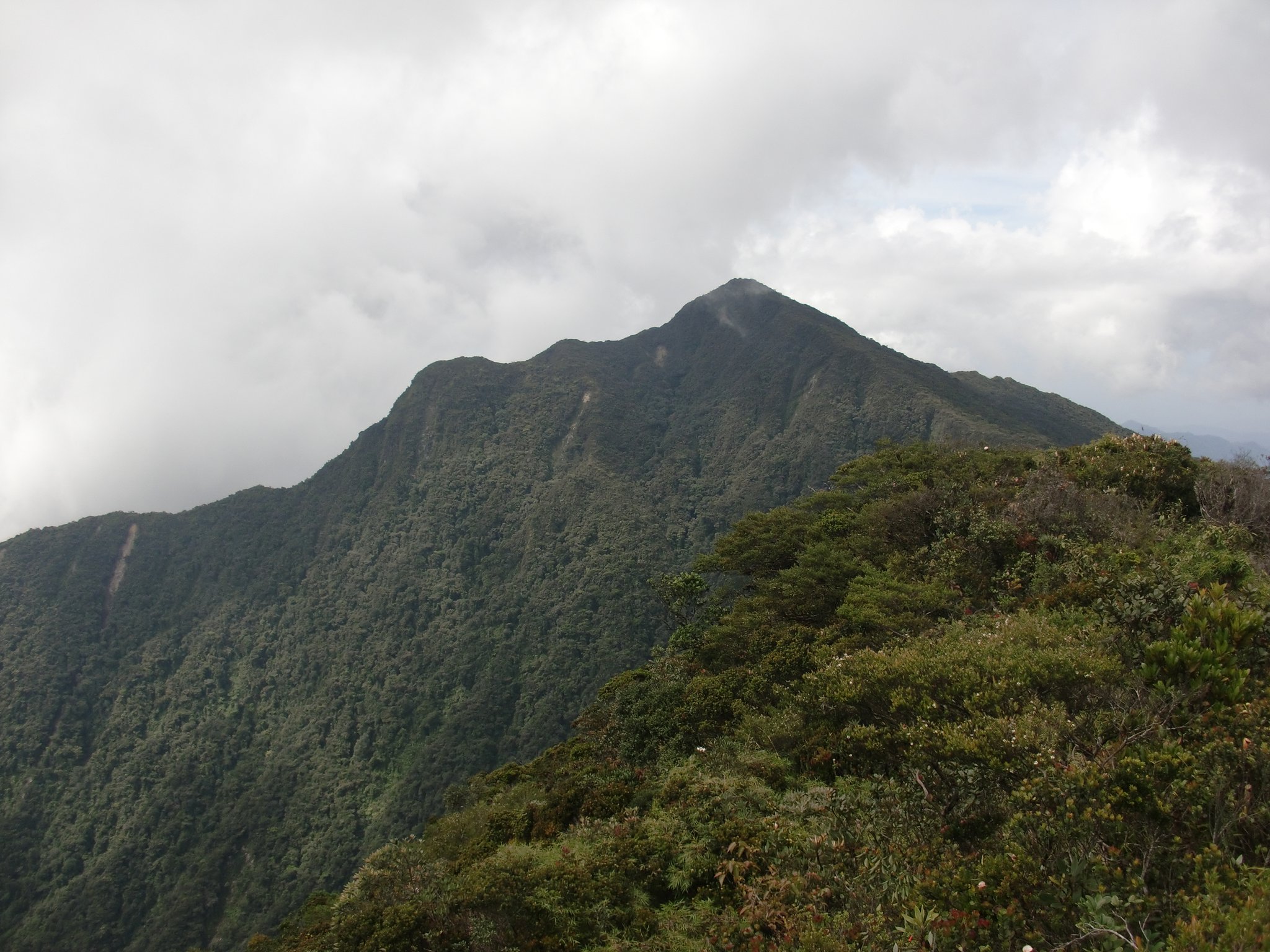 Mount Korbu