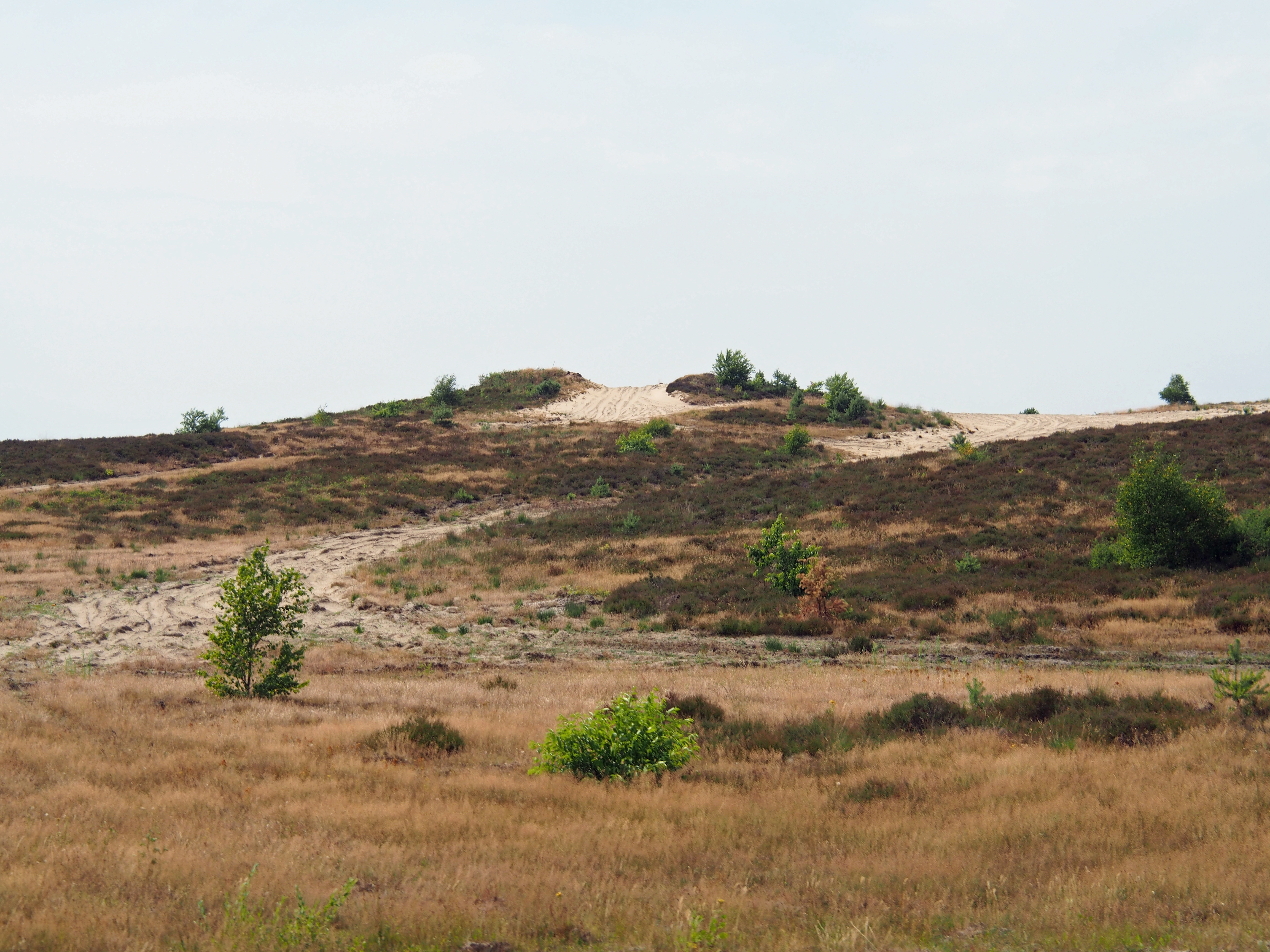 Falkenberg
