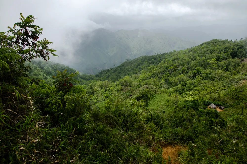 Grand Bois National Park