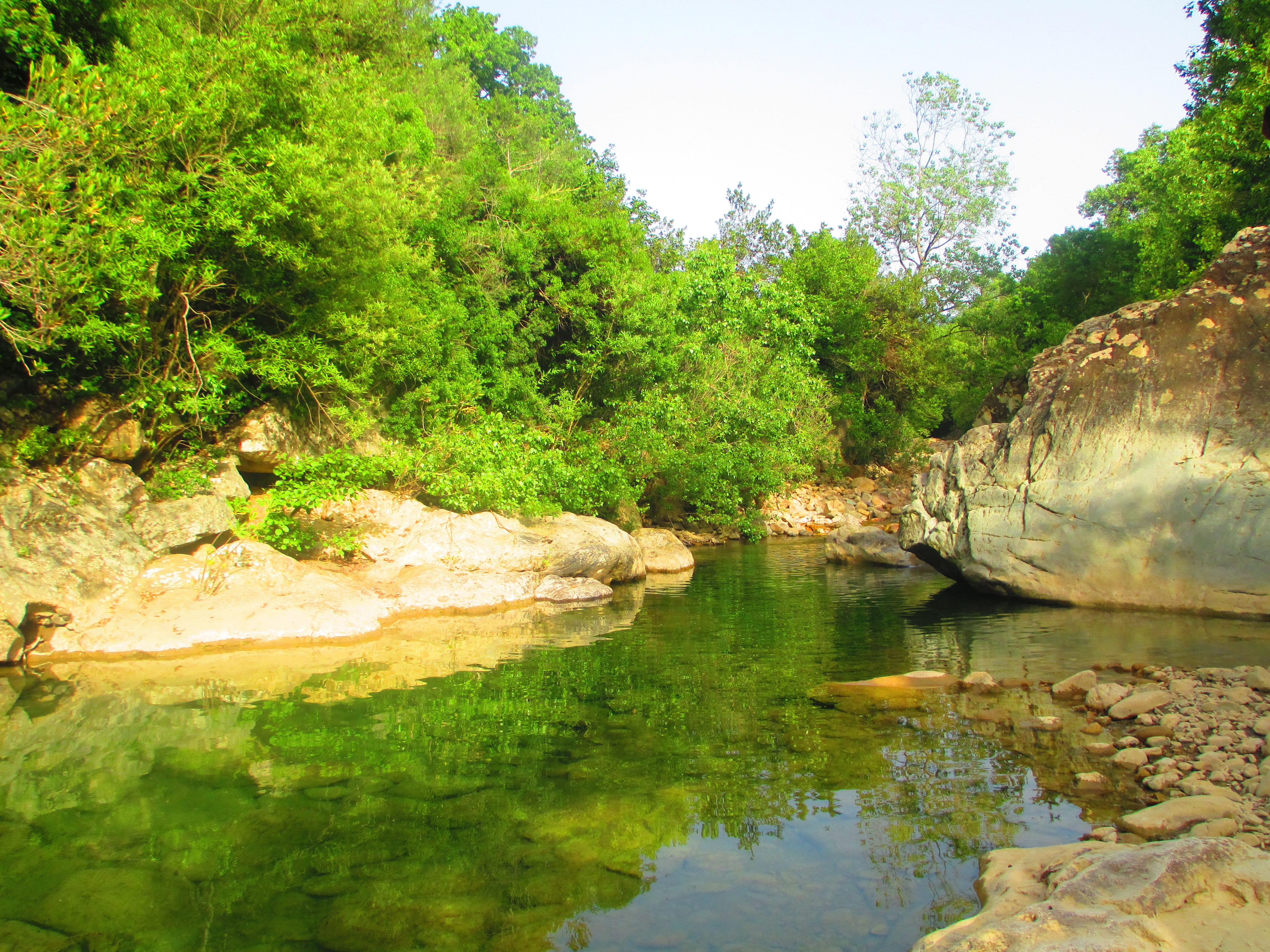 Taza National Park