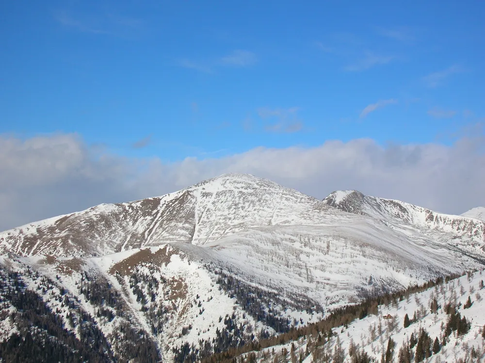 Großer Rosennock
