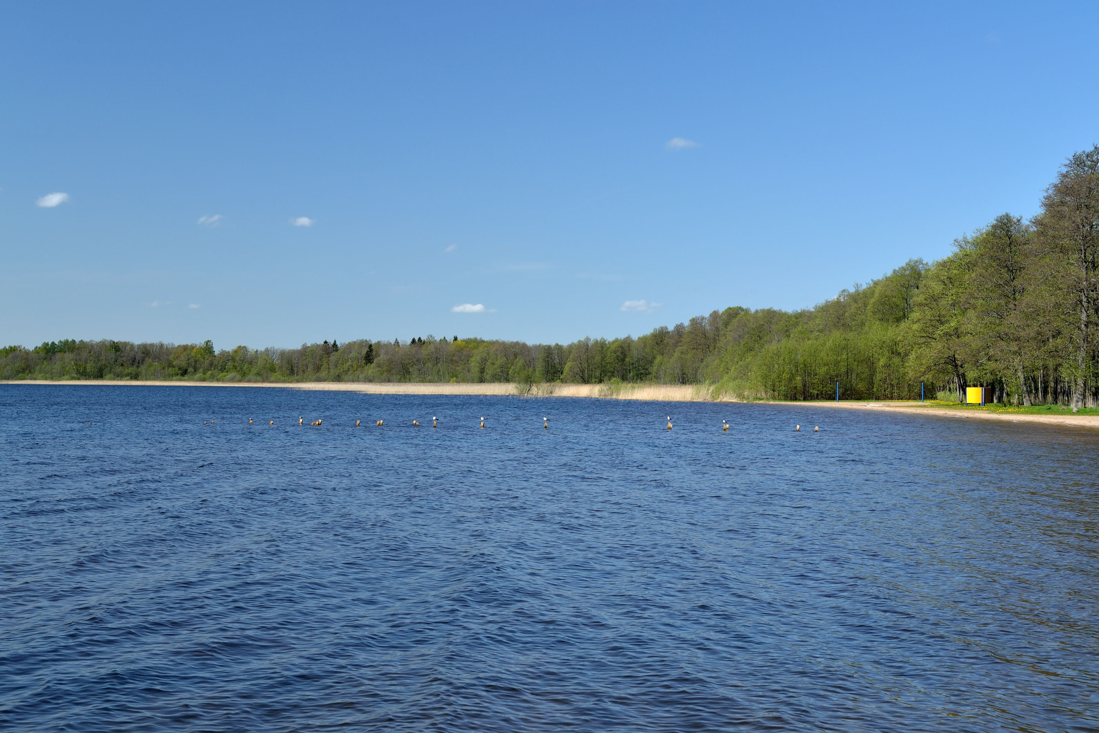 Lake Kuremaa