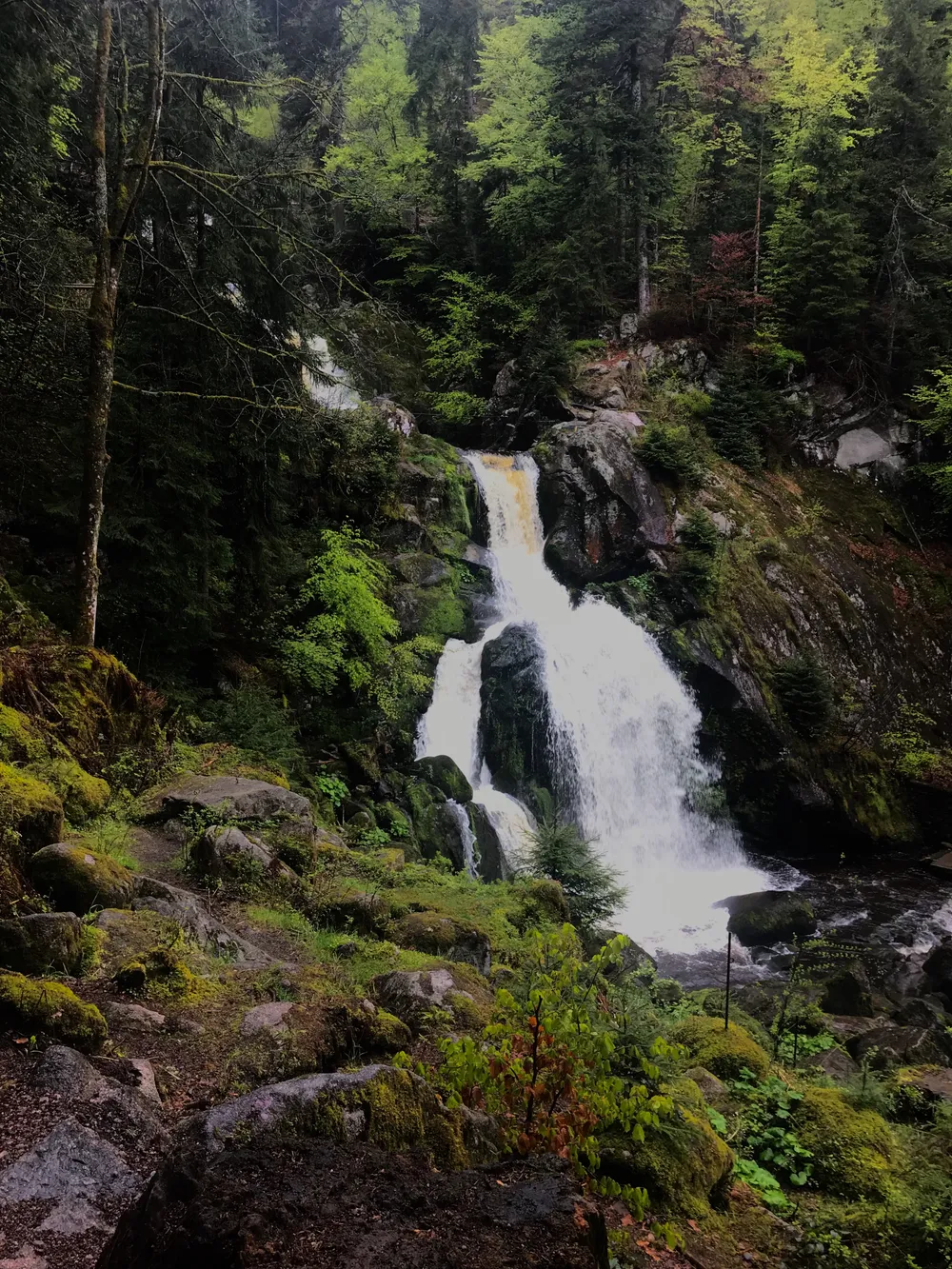 Triberg Waterfalls