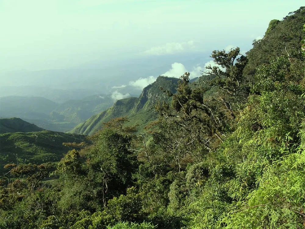 Horton Plains National Park