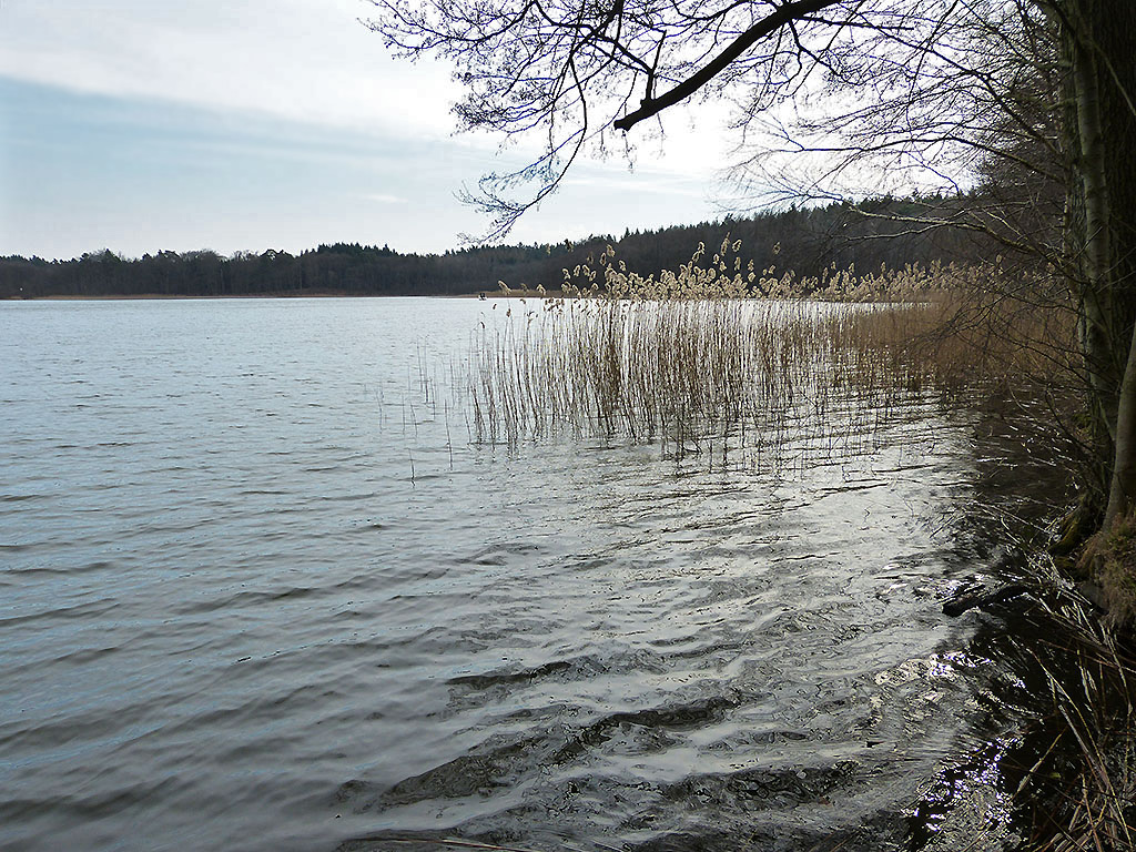 Großer Prebelowsee