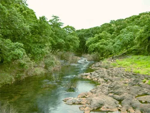 Sanjay Gandhi National Park