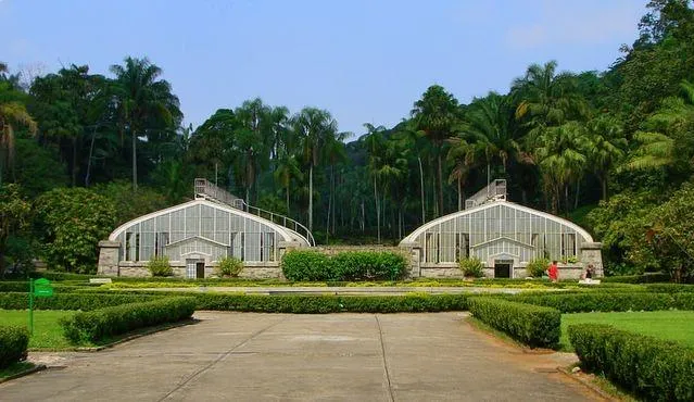 Botanical Garden of São Paulo