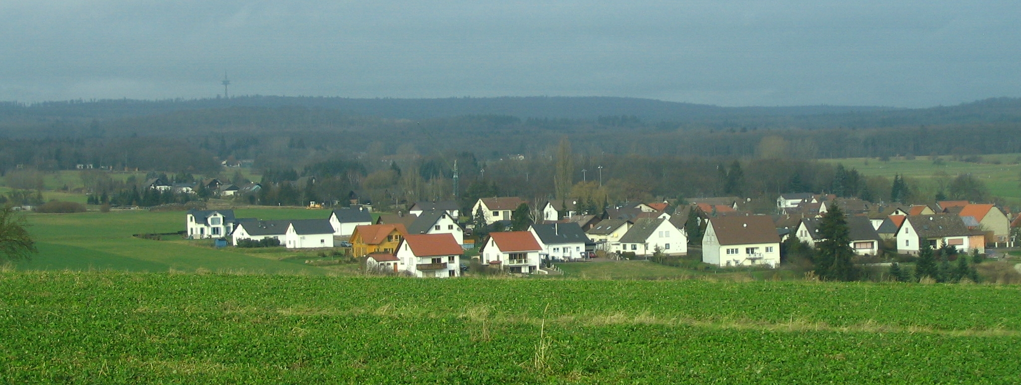 Ellerspring