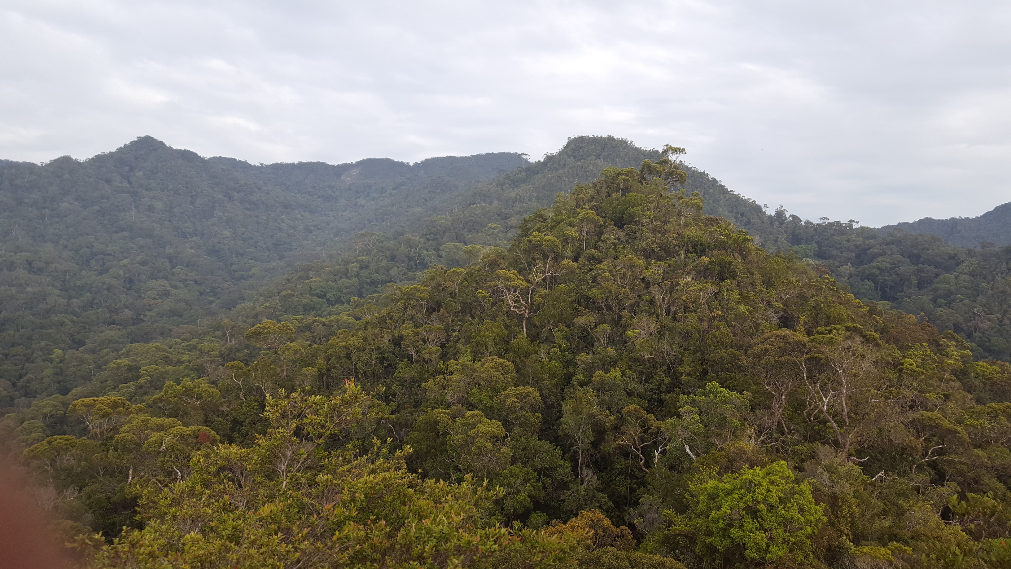 Bukit Pagon