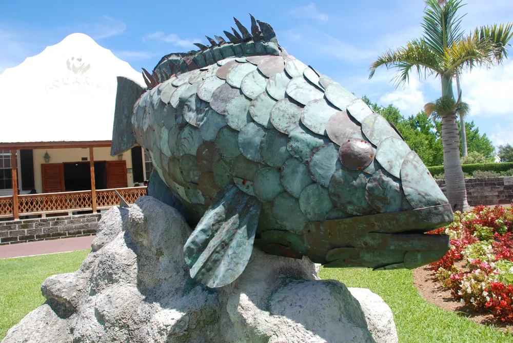 Bermuda Aquarium, Museum and Zoo