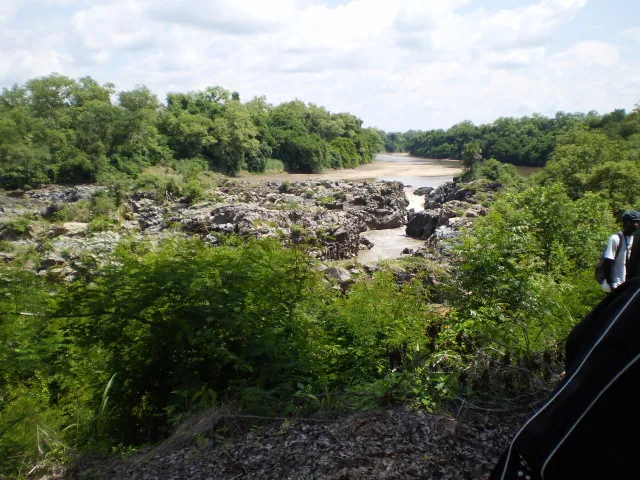 Bénoué National Park
