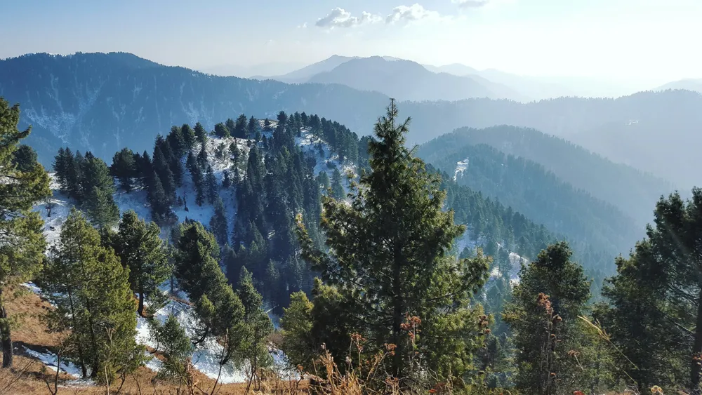 Miranjani