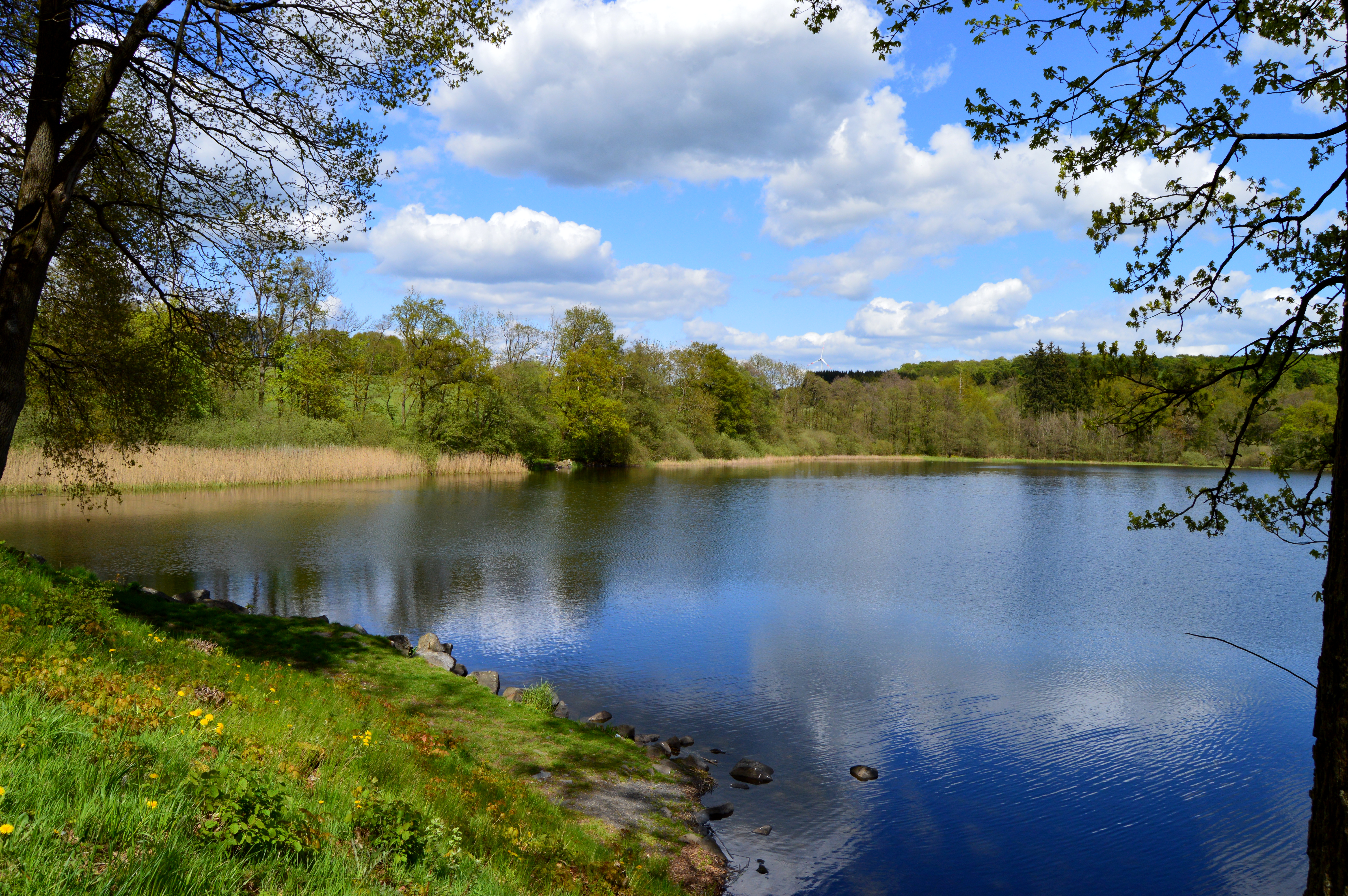 Dreifelder Weiher