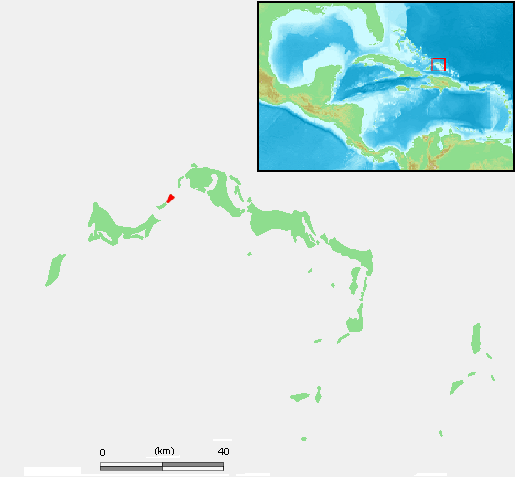 Pine Cay