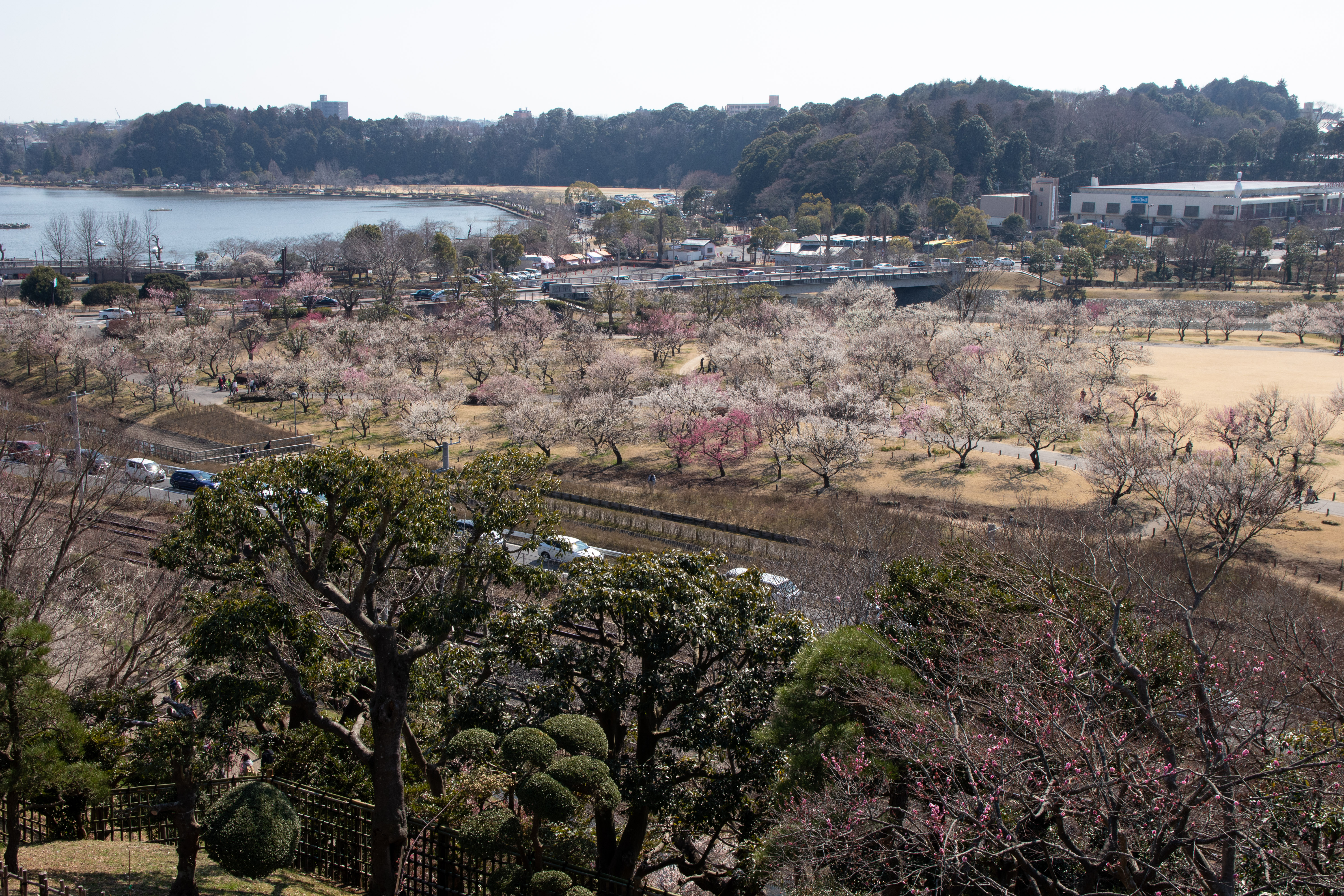 5.9‑magnitude quake hits Ibaraki, 45 injured, tsunami alert lifted