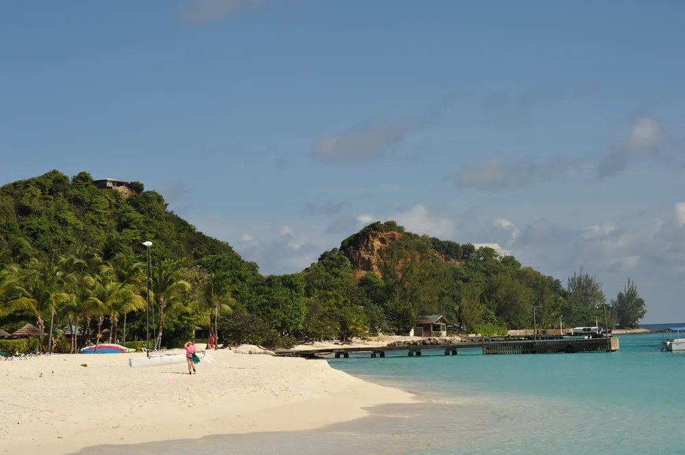 Palm Island