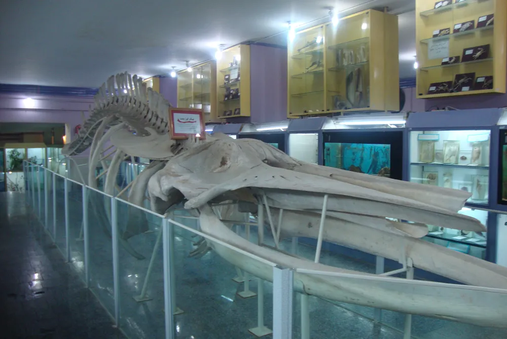 Hamedan Museum of Natural History
