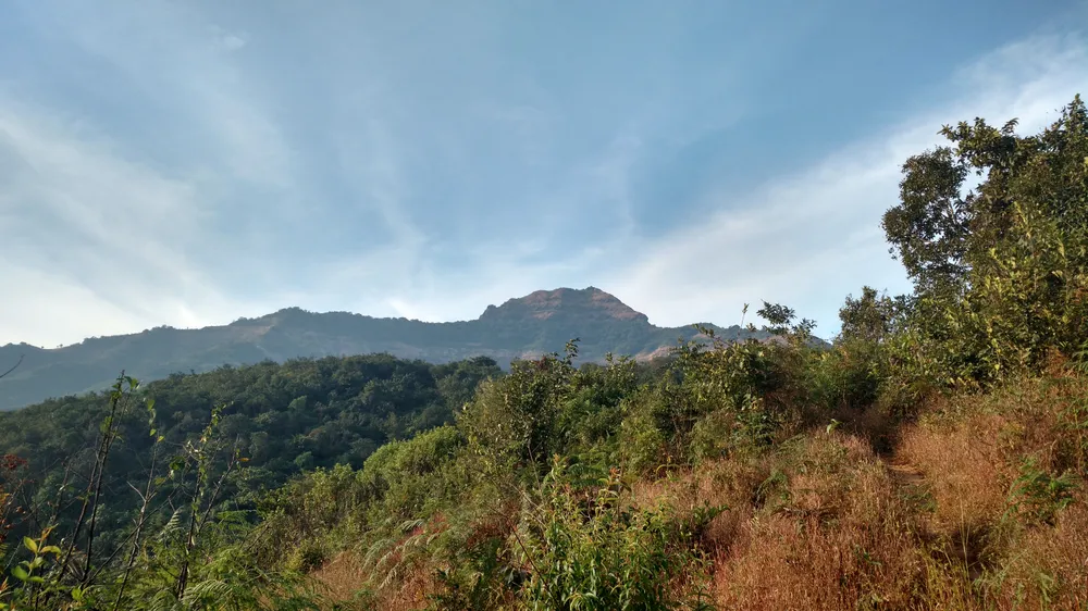 Mohangad