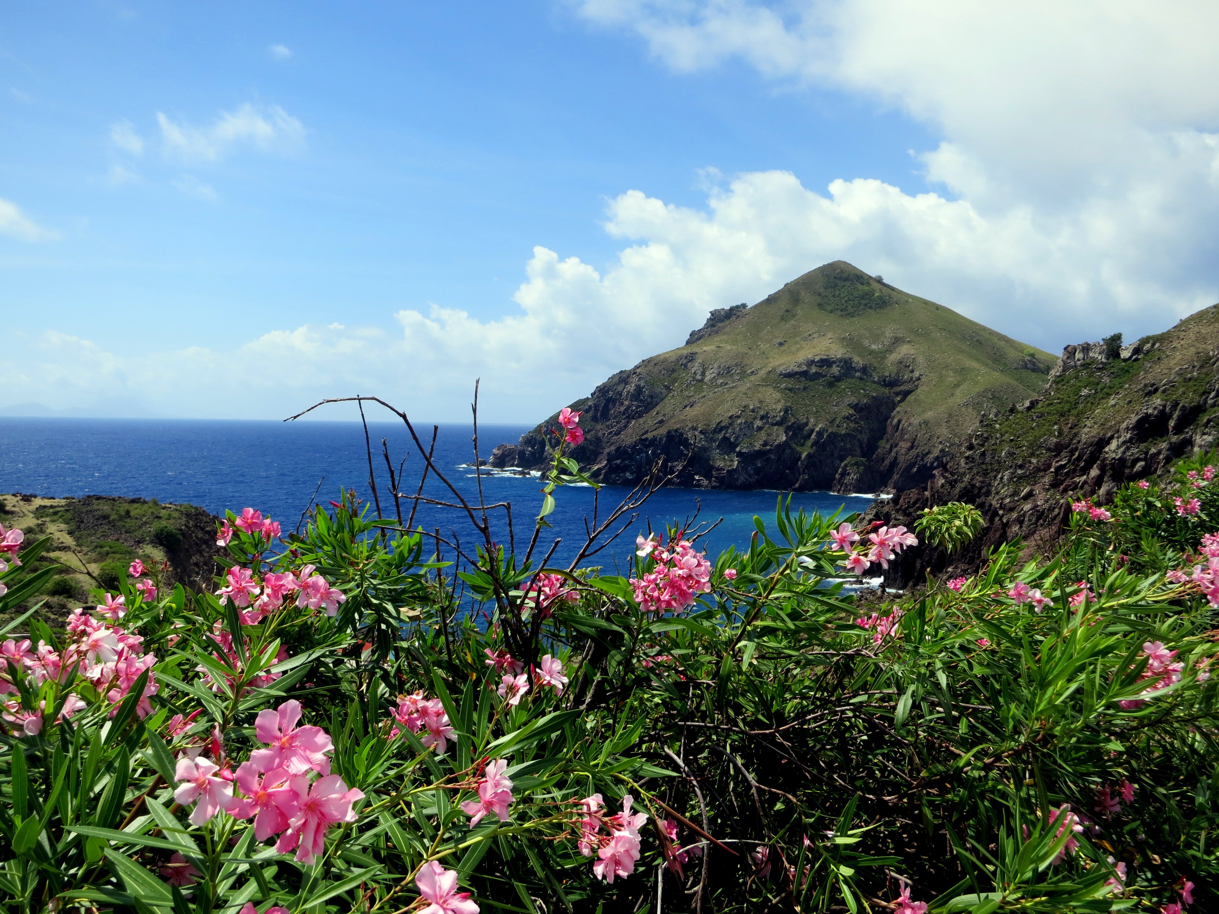Cove Bay