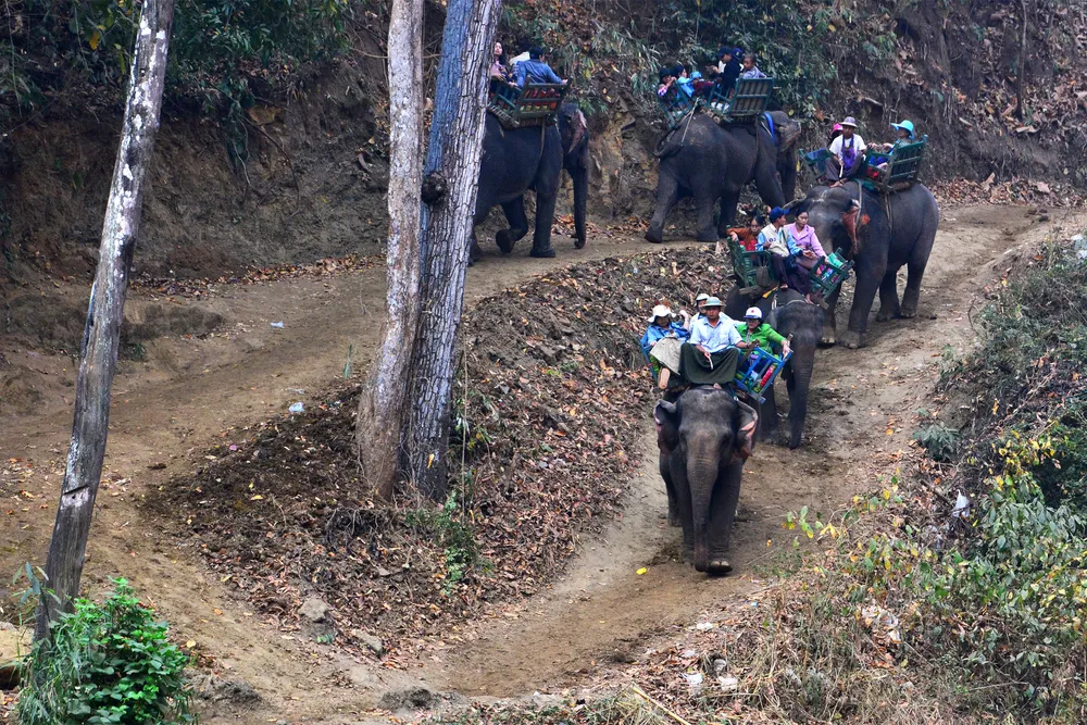 Alaungdaw Kathapa National Park