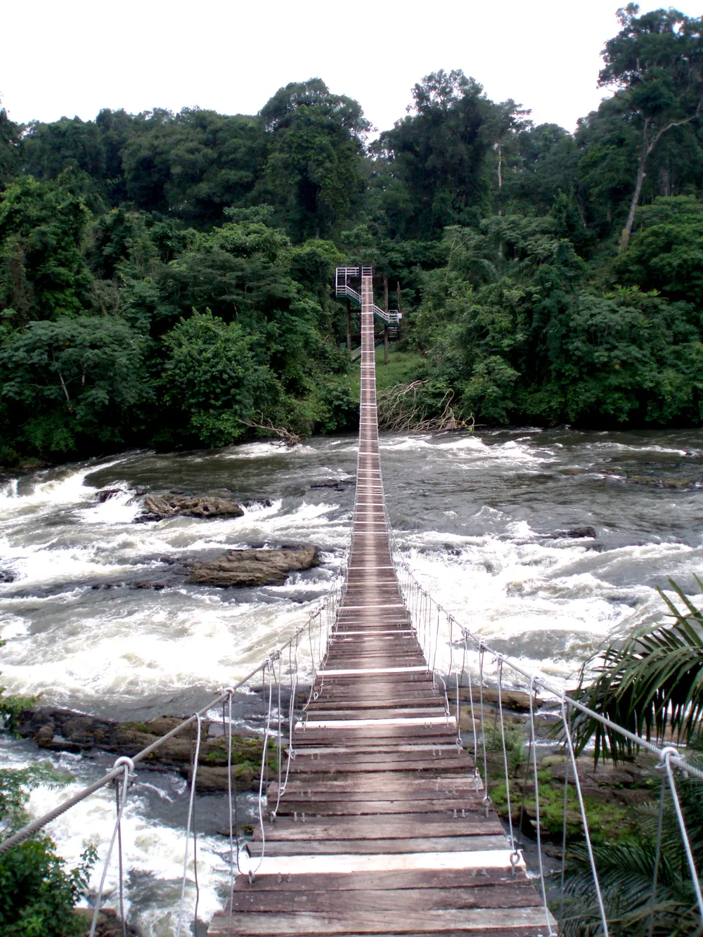 Korup National Park