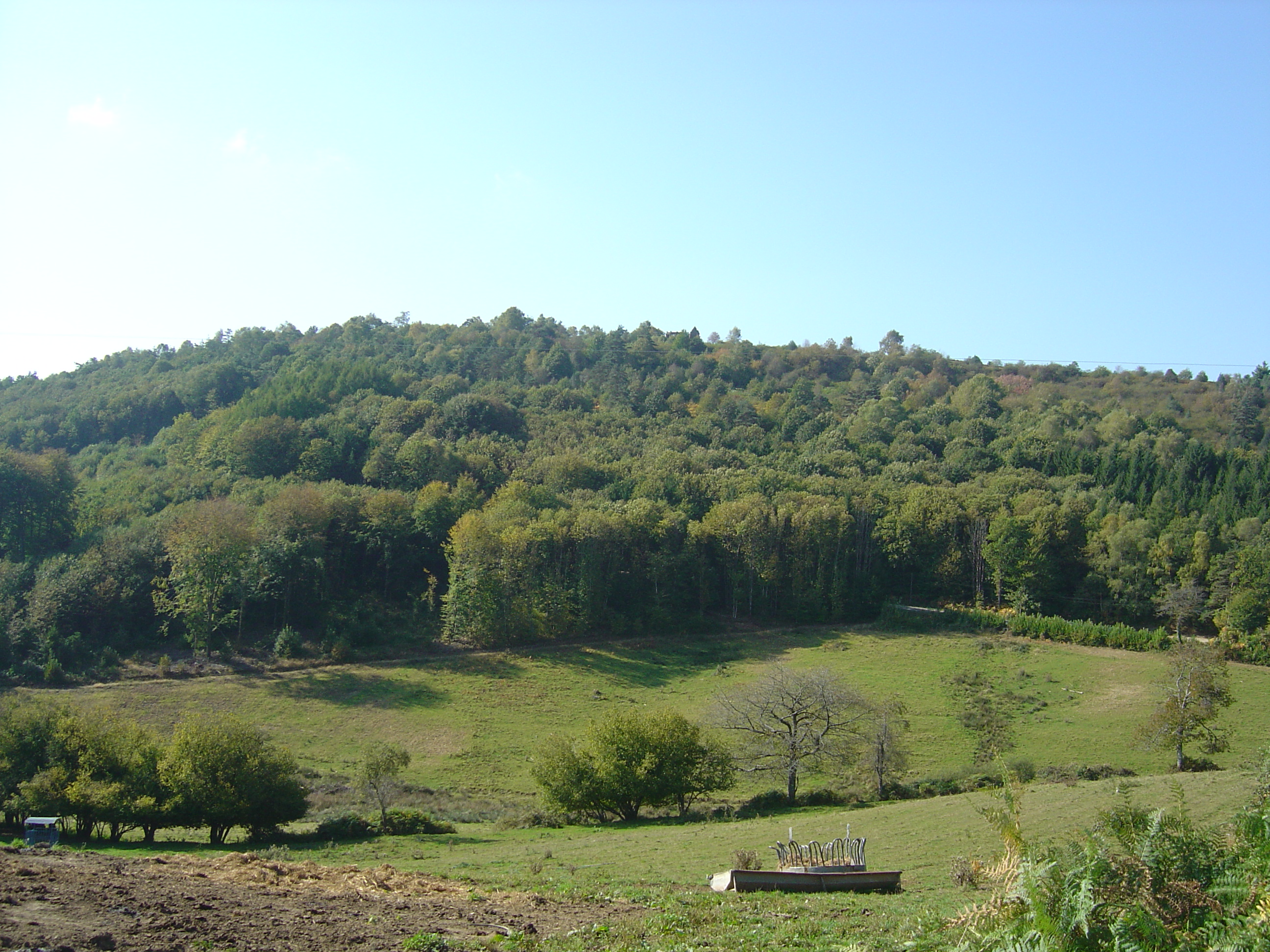 Mont Gargan