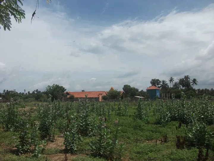 Mandativu