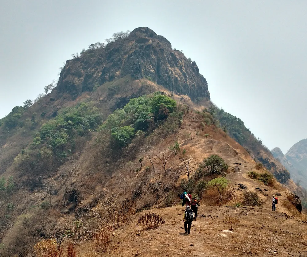 Suamargad