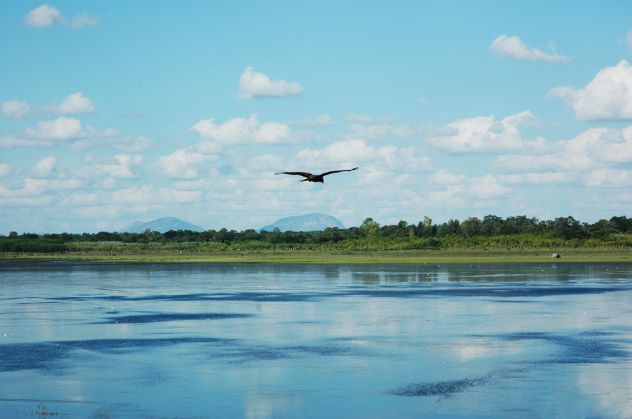 Hesaraghatta Lake