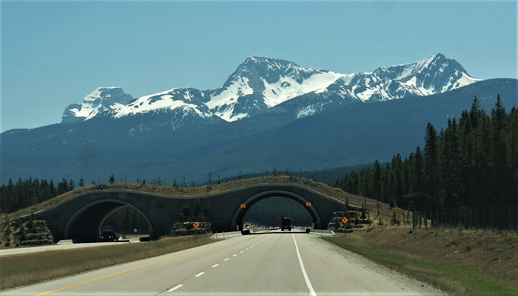 Copper Mountain
