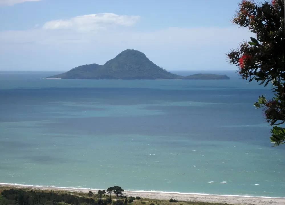 Moutohora Island