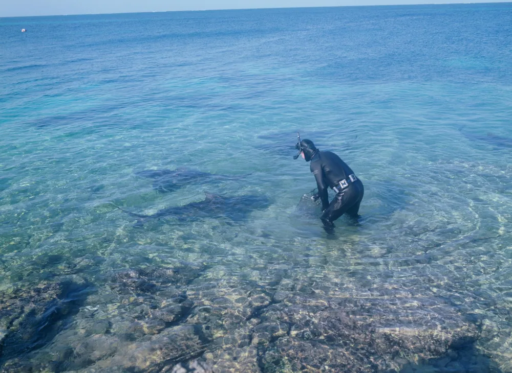 Walker's Cay
