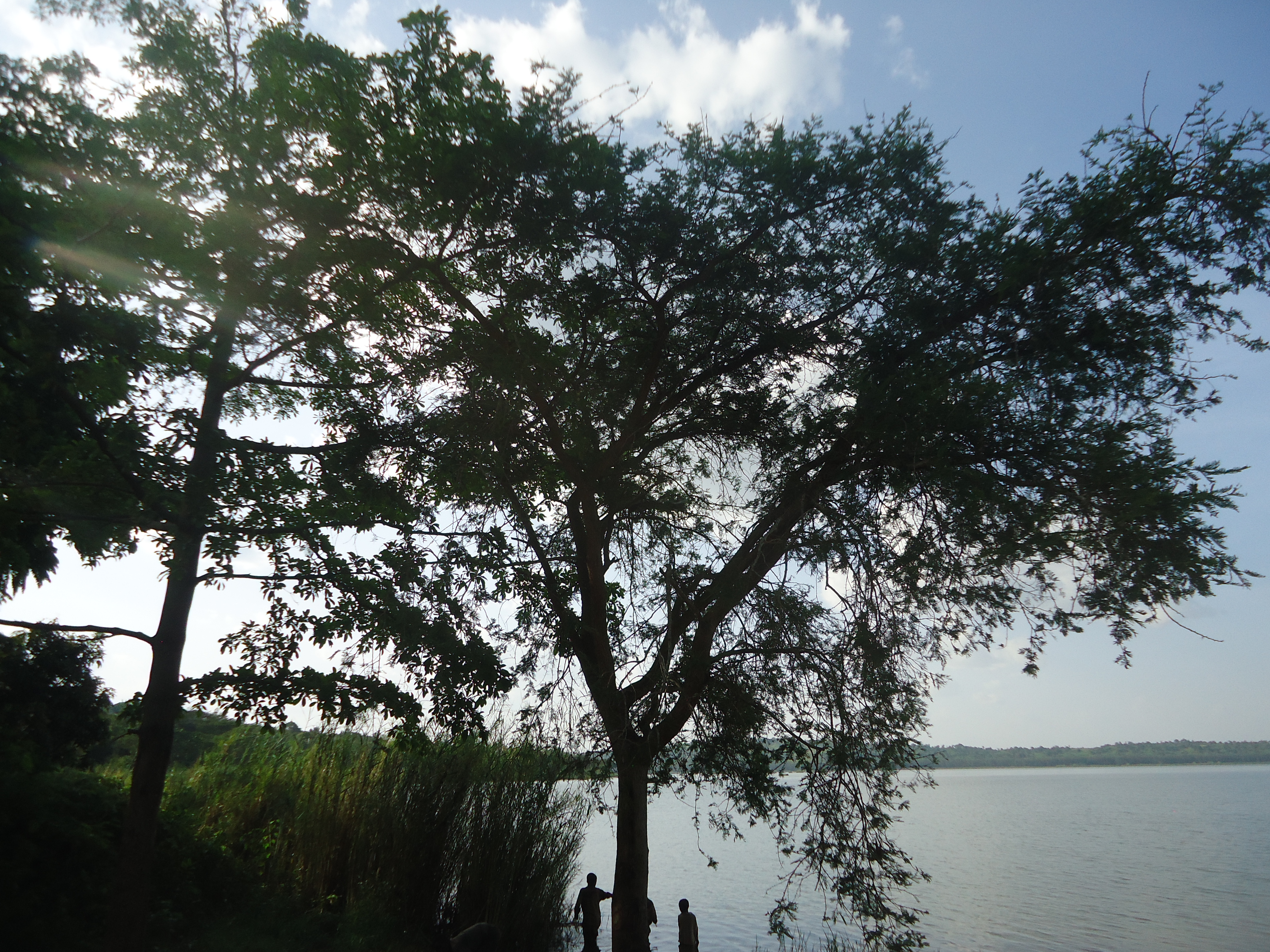 Lake Rwihinda