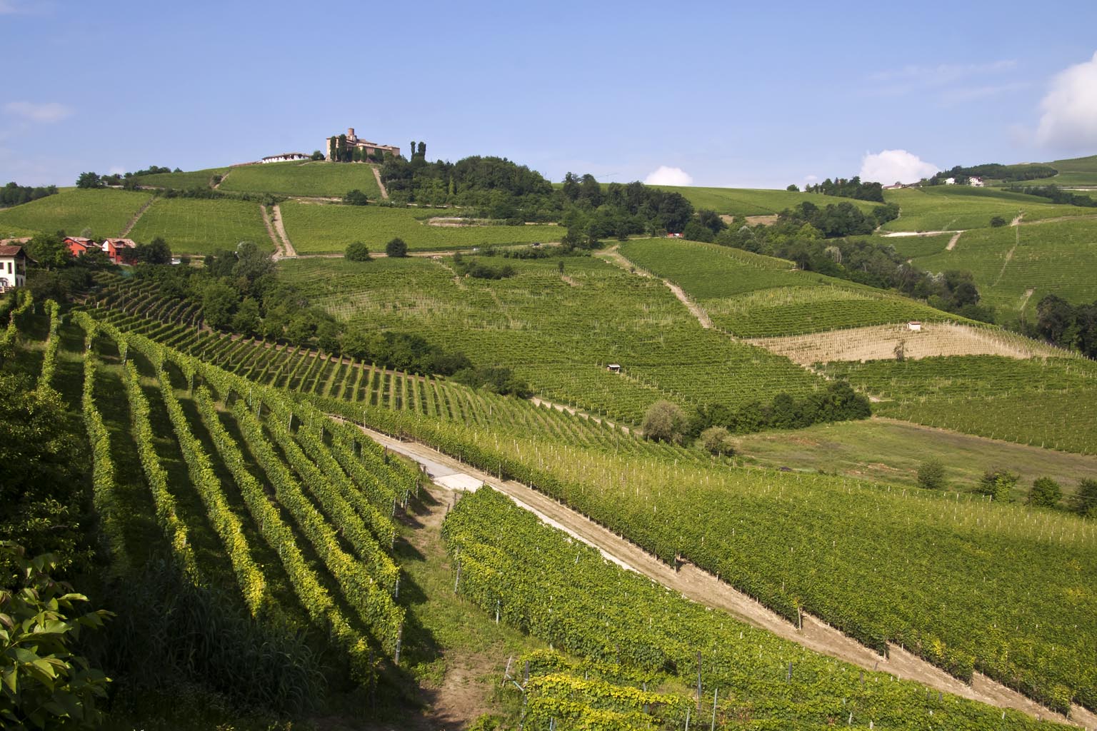 The Vineyard Landscape of Piedmont: Langhe-Roero and Monferrato