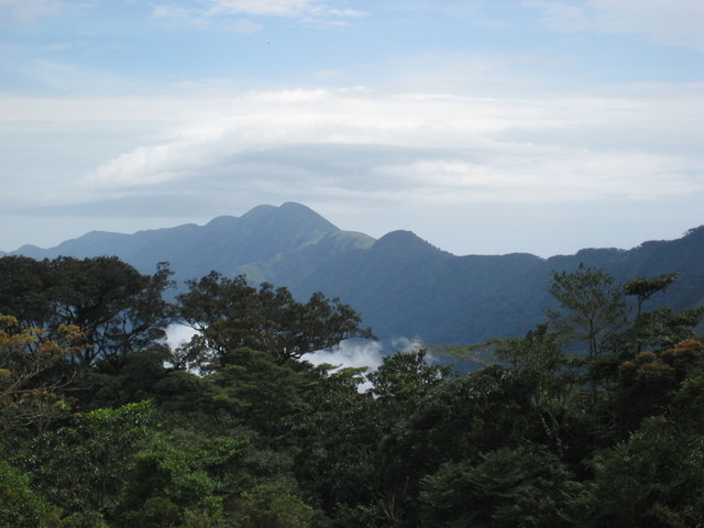 Mount Nimba Strict Nature Reserve