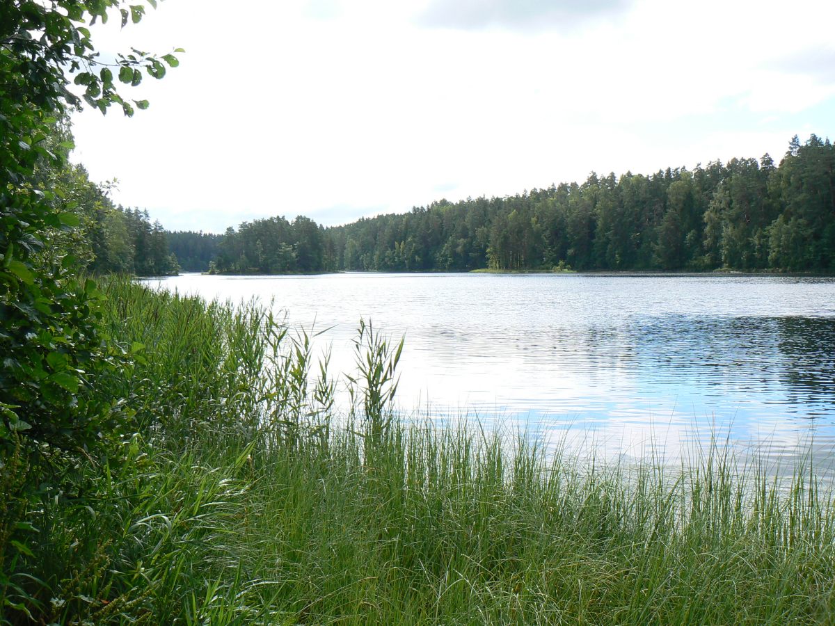 Pikkjärv