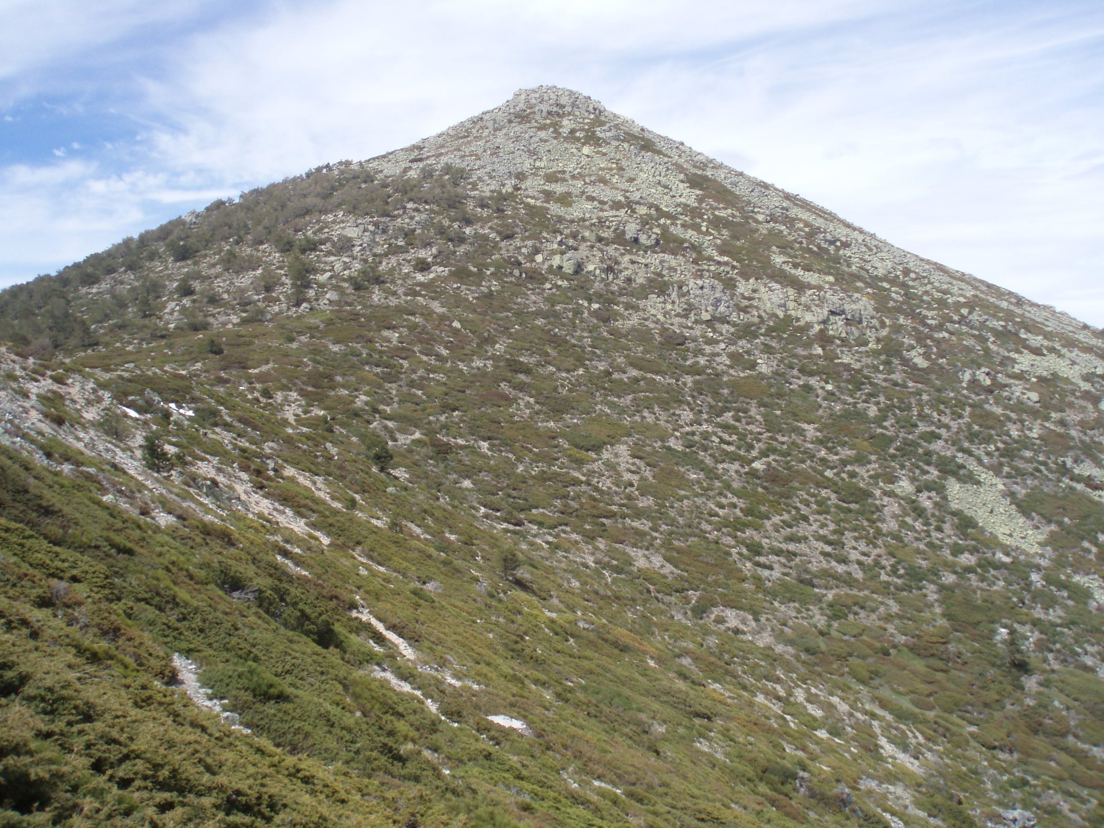 Montón de Trigo