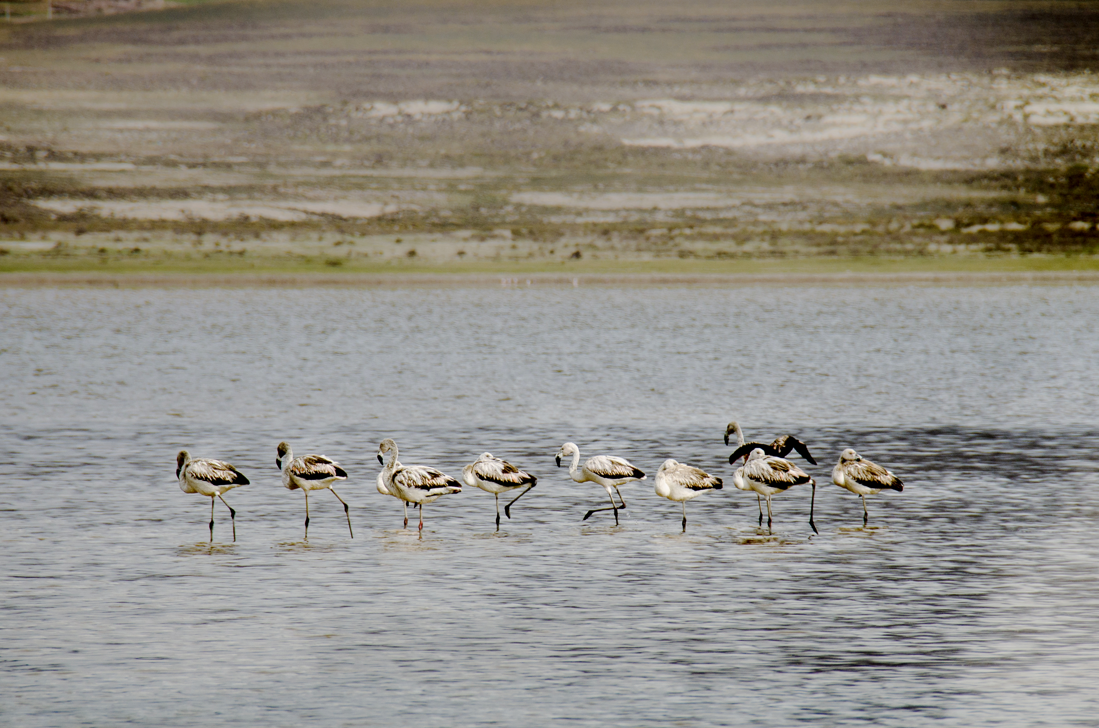 Tajzara Lake