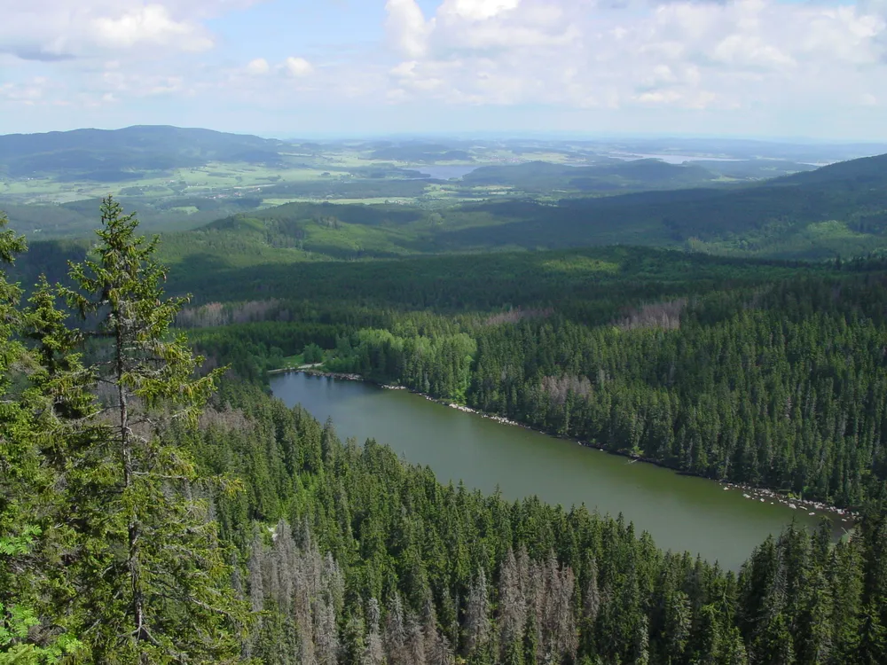 Šumava National Park