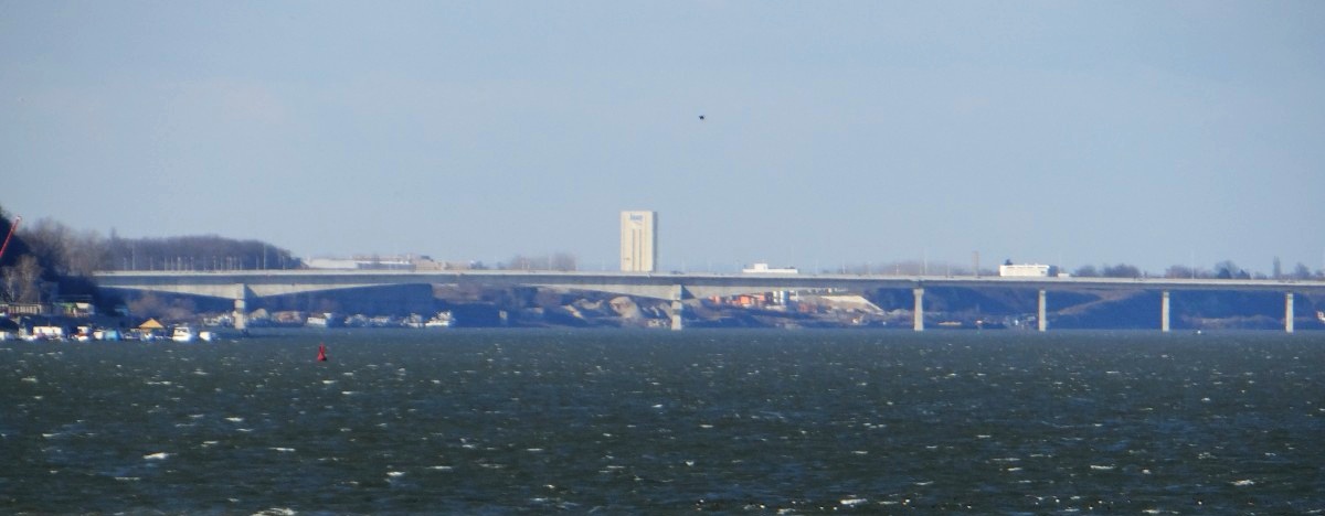 Pupin Bridge
