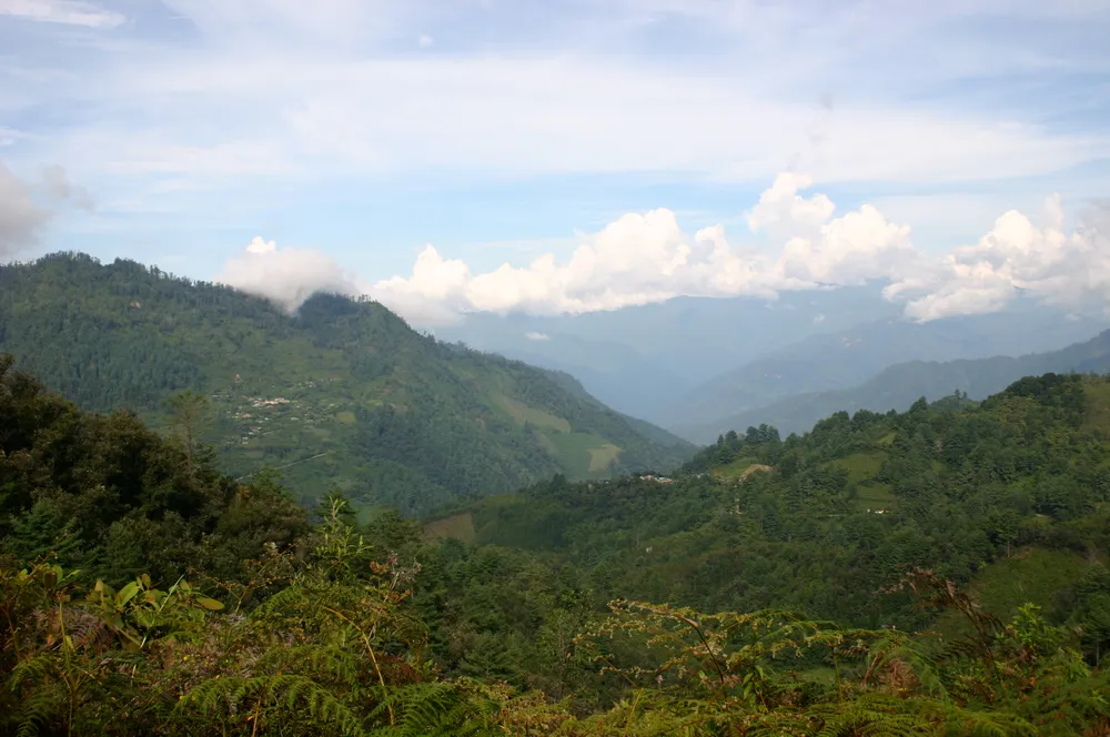 Sierra Juárez, Oaxaca