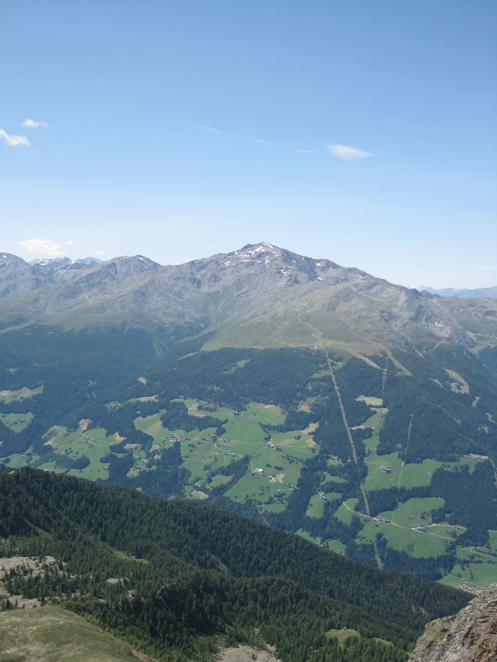 Hasenöhrl